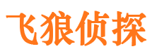 金寨飞狼私家侦探公司